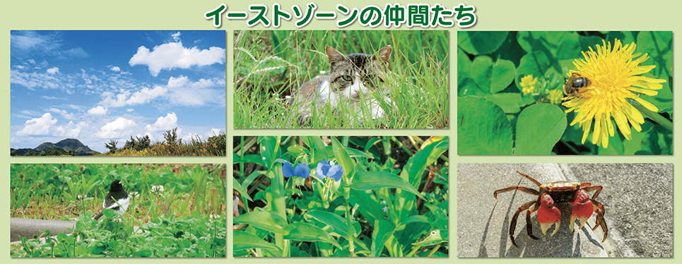 イーストゾーンの仲間たち